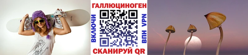 кракен рабочий сайт  Кохма  сайты даркнета официальный сайт  как найти   Галлюциногенные грибы Magic Shrooms 